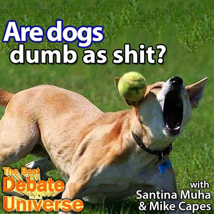Madcast Media Network - The Best Debate in the Universe - Are dogs dumb as shit? We ask the hard-hitting questions here at Madcast Media. You're welcome. Here's the most neutral way I could think of phrasing the question: ARE DOGS DUMB AS SHIT?