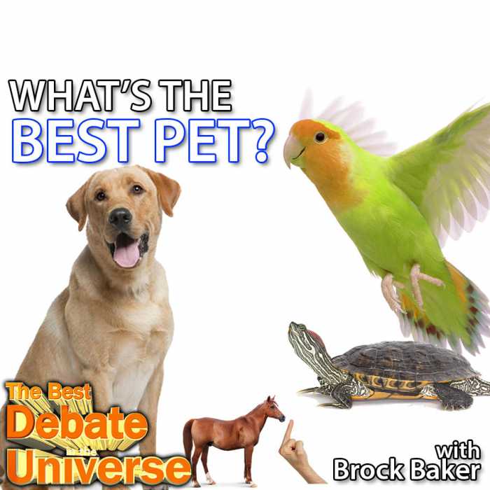 Madcast Media Network - The Best Debate in the Universe - What's the best pet? And will anyone vote for anything other than dogs or does this debate stand the chance of fairness? The debate this week: WHAT'S THE BEST PET?